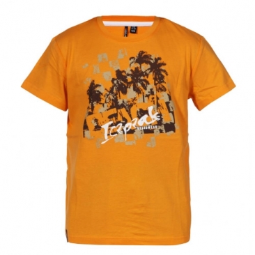 T-shirt ICEPEAK Mark Jr. orange